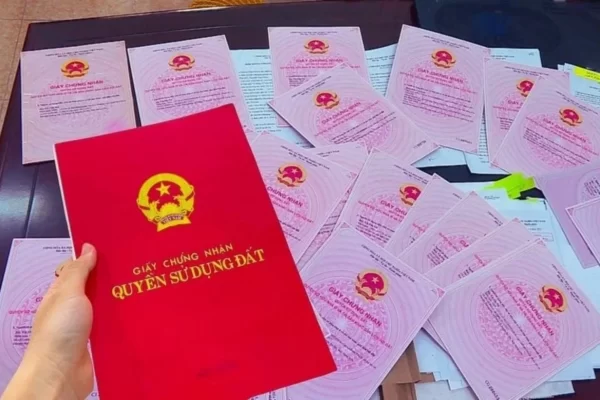 An tâm về mặt pháp lý, tránh rủi ro