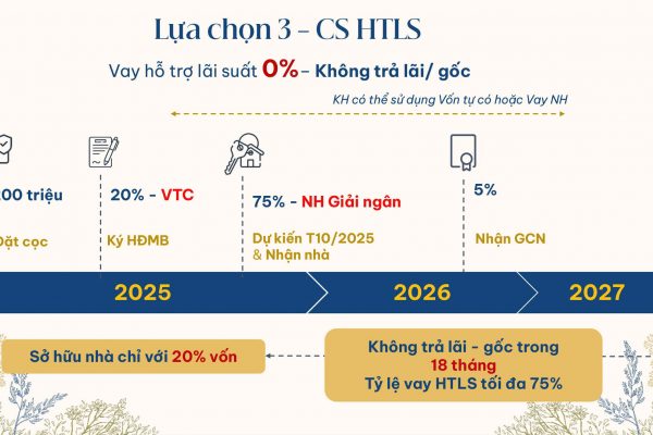 Rủi ro tài chính liên quan và chiến lược giảm thiểu